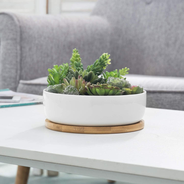 8-Inch Succulent White Ceramic Round Planter Pot with Drainage Hole and Removable Bamboo Tray