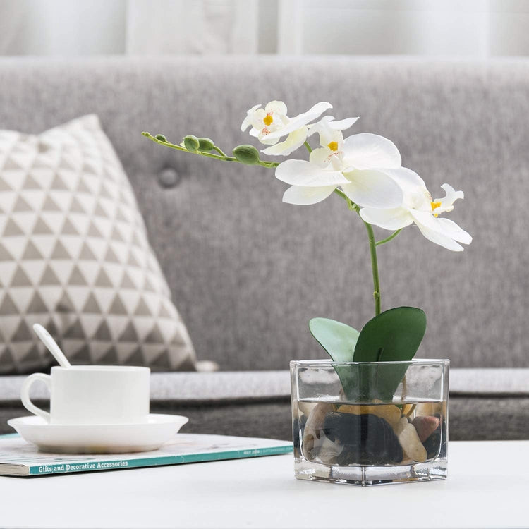 Mini White Artificial Silk Orchid Flower in Square Glass Container