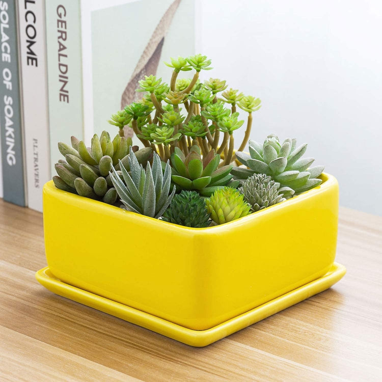 Yellow Ceramic Square Succulent Planter with Removable Drainage Tray