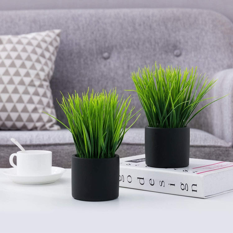 Artificial Grass Fake Plant in Modern Round Black Cement Pots, Pack of 2