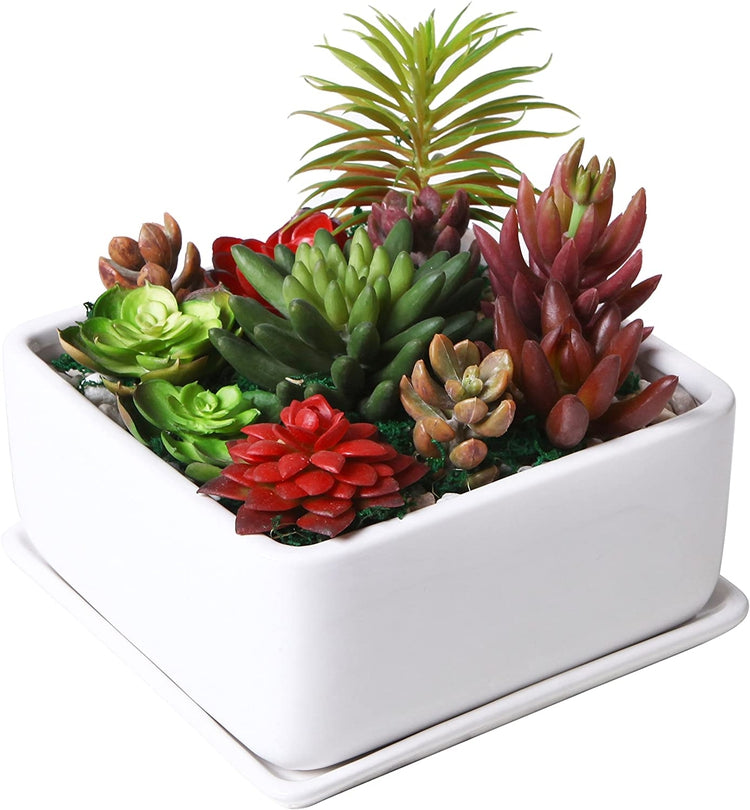 Modern 7 inch Square White Ceramic Succulent Planter Pot with Drainage Tray, Window Box & Saucer