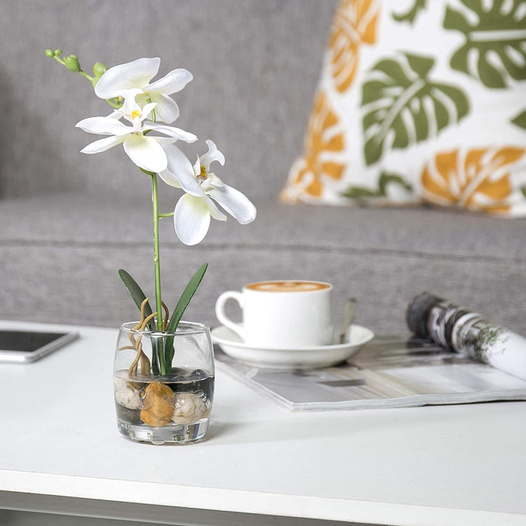 White Mini Synthetic Silk Artificial Phalaenopsis Orchid in Glass Vase