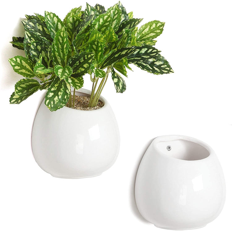 6-inch White Ceramic Wall-Mounted Succulent Planters, Set of 2
