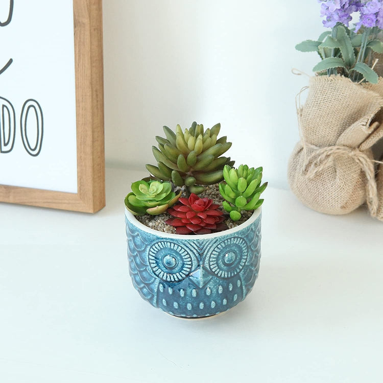 Blue Owl Shaped Succulent Ceramic Planter Pot Whimsical Cute Plant Container-MyGift