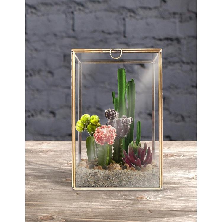 Clear Glass Plant Terrarium with Brass Metal Frame