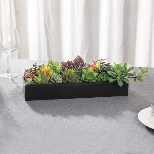 Artificial Succulent Plants in Rectangular Modern Black Wood Plant Box
