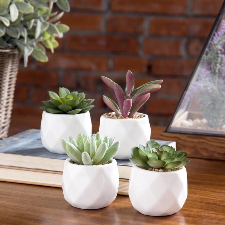 Mini Artificial Succulent Plants in Geometric Plant Pots