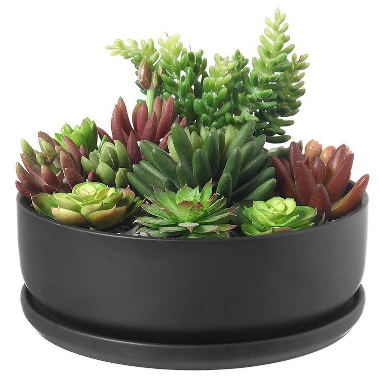 Modern Round Black Ceramic Succulent Planter with Saucer
