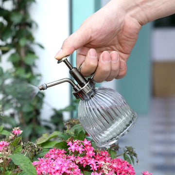 Decorative Plant Mister with Top Pump-MyGift