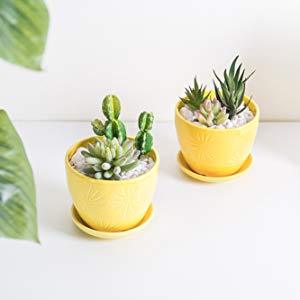 Yellow Sunburst Ceramic Flower Pots, Set of 2 5 Inch Planters